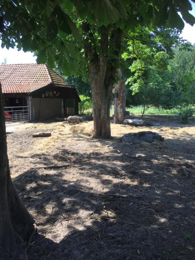 לינה וארוחת בוקר Holsloot De Distelweide מראה חיצוני תמונה